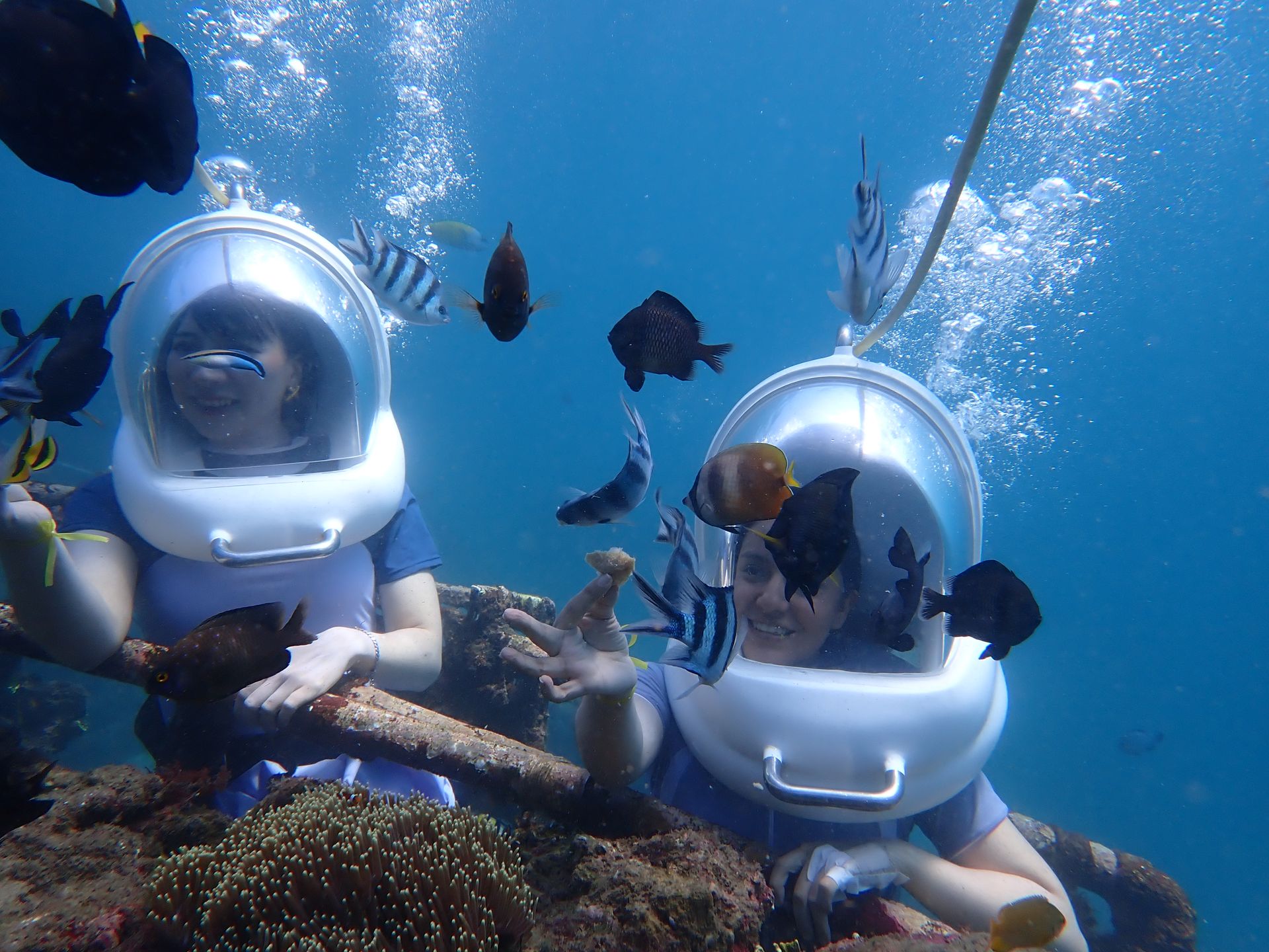 Sea Walker - Image 2