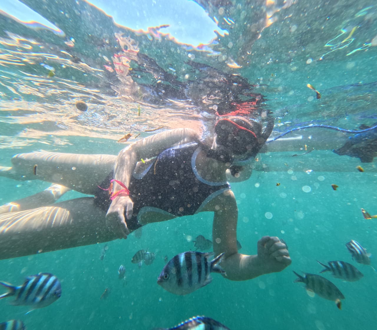 Snorkeling