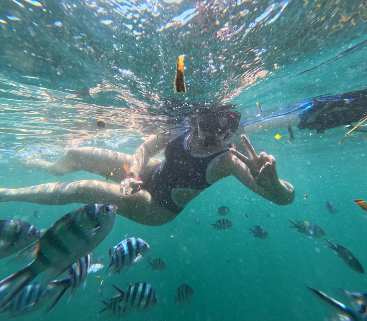 Snorkeling - Image 2