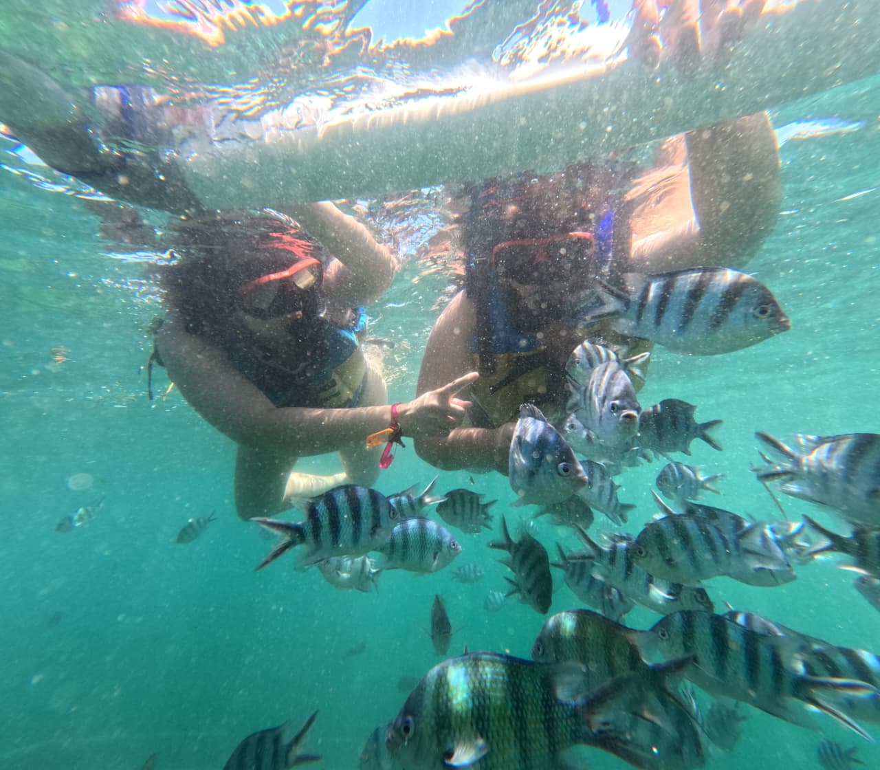 Snorkeling - Image 3