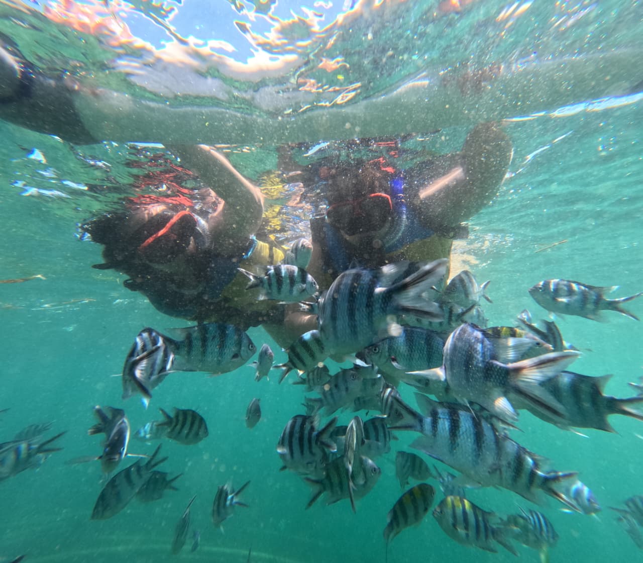 Snorkeling - Image 4